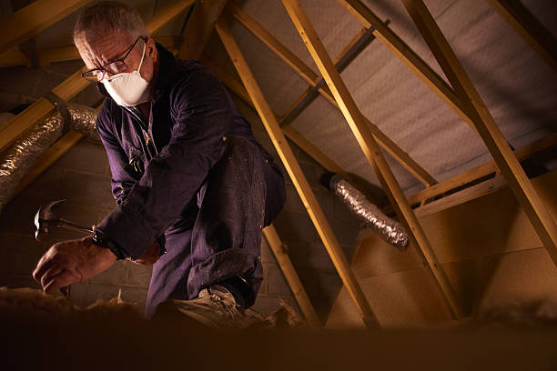 Best Residential Insulation in Tok, AK